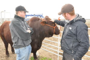 Connors Farm Staff member, Dale Pitchford discusses ranch and cattle operations with Agriculture student, Bradley Womack.