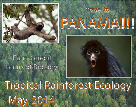 Travel to Panama!