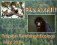 Travel to Panama!
