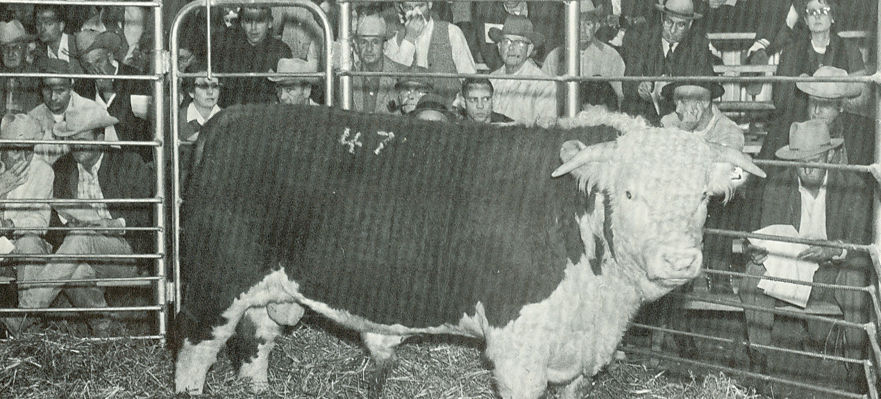 Connors State Rodeo Alumni History – Connors State College